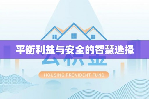 龙崎平衡利益与安全的智慧选择