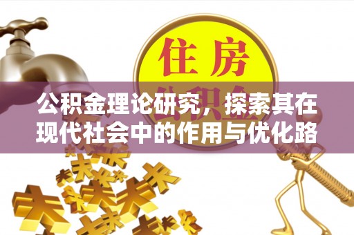 龙崎公积金理论研究，探索其在现代社会中的作用与优化路径