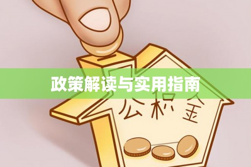 龙崎政策解读与实用指南