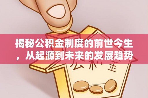 龙崎揭秘公积金制度的前世今生，从起源到未来的发展趋势