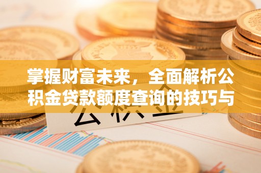龙崎掌握财富未来，全面解析公积金贷款额度查询的技巧与策略