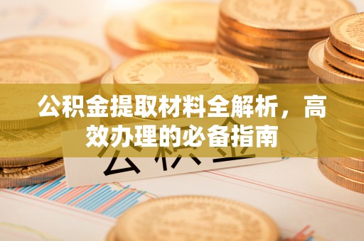 龙崎公积金提取材料全解析，高效办理的必备指南
