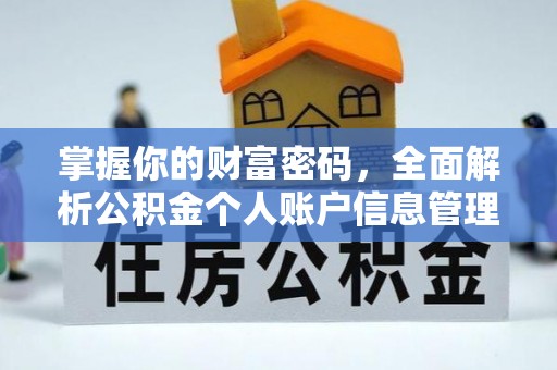 龙崎掌握你的财富密码，全面解析公积金个人账户信息管理与优化