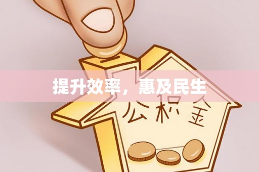 龙崎提升效率，惠及民生