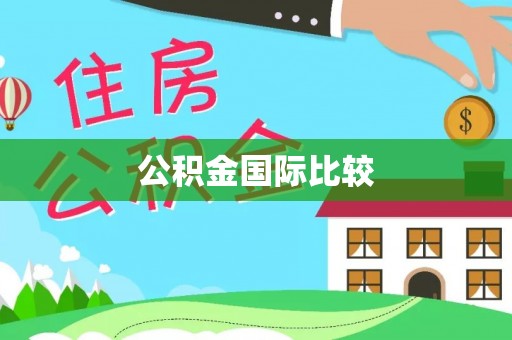 龙崎公积金国际比较