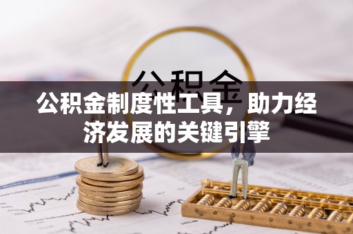 龙崎公积金制度性工具，助力经济发展的关键引擎