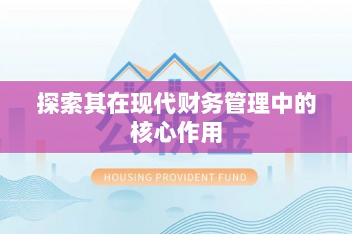 龙崎探索其在现代财务管理中的核心作用