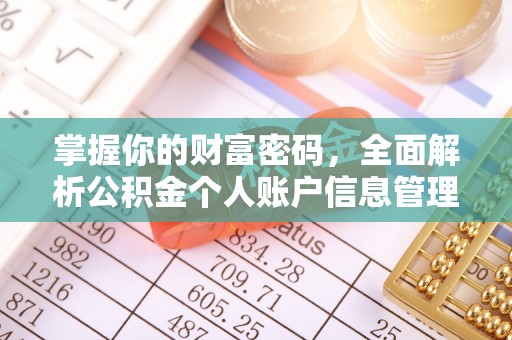 龙崎掌握你的财富密码，全面解析公积金个人账户信息管理