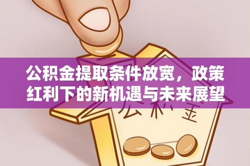龙崎公积金提取条件放宽，政策红利下的新机遇与未来展望