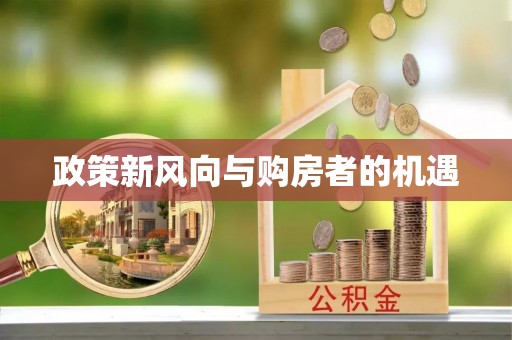 龙崎政策新风向与购房者的机遇