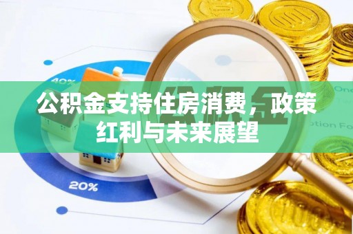 龙崎公积金支持住房消费，政策红利与未来展望