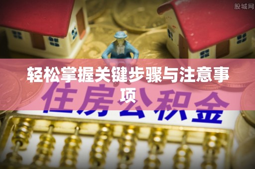 龙崎轻松掌握关键步骤与注意事项