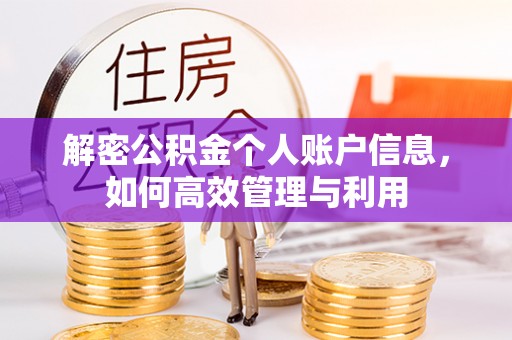 龙崎解密公积金个人账户信息，如何高效管理与利用