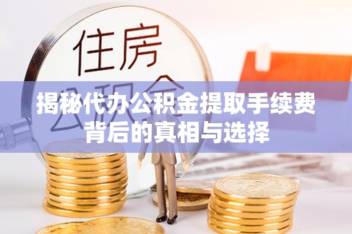 龙崎揭秘代办公积金提取手续费背后的真相与选择