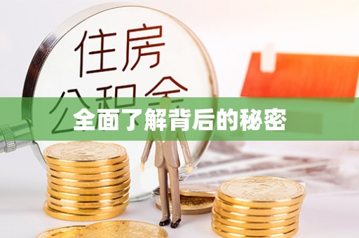 龙崎全面了解背后的秘密