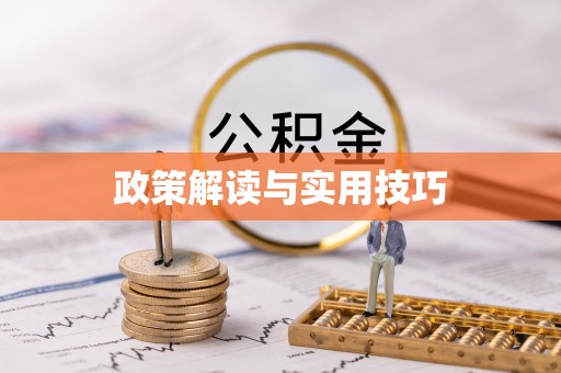 龙崎政策解读与实用技巧