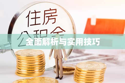 龙崎全面解析与实用技巧