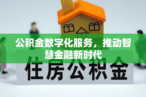 龙崎公积金数字化服务，推动智慧金融新时代