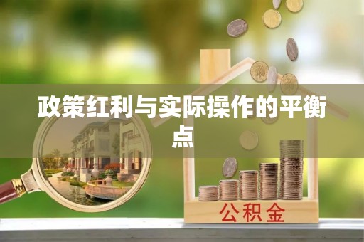 龙崎政策红利与实际操作的平衡点