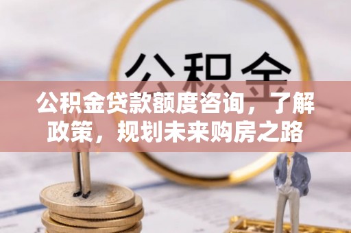 龙崎公积金贷款额度咨询，了解政策，规划未来购房之路