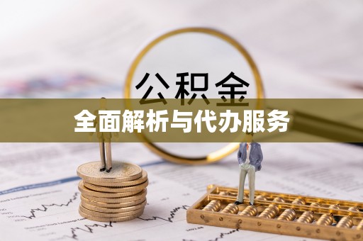 龙崎全面解析与代办服务
