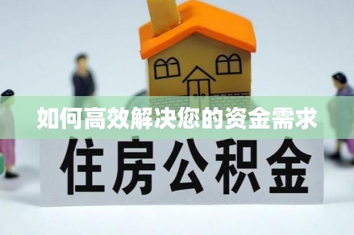龙崎如何高效解决您的资金需求